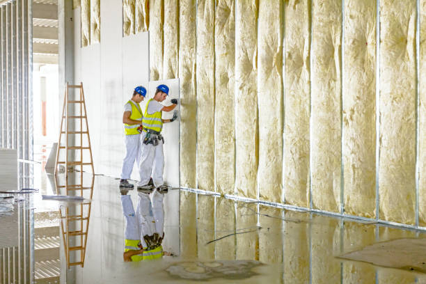 Best Cellulose Insulation in Marion, IA
